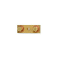 Outback FLEXware Shunt Bus (SKU Part Number FW-SBUS).