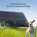 Renogy RNG Series 320 W Monocrystalline Solar Panel.