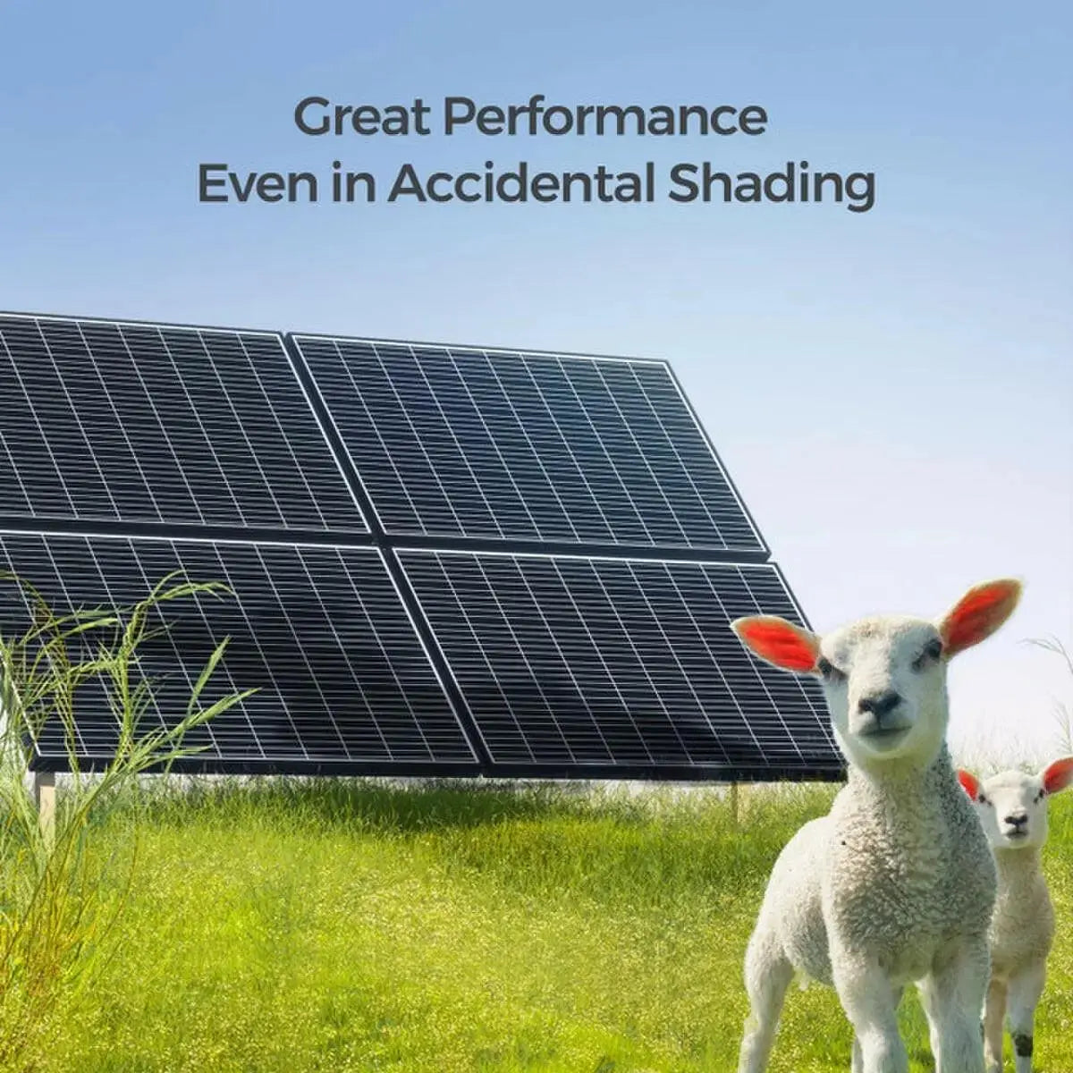 Renogy RNG Series 320 W Monocrystalline Solar Panel.