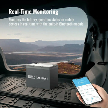 Rich Solar Alpha 1 12.8 V 100 Ah Lithium Iron Phosphate Battery.