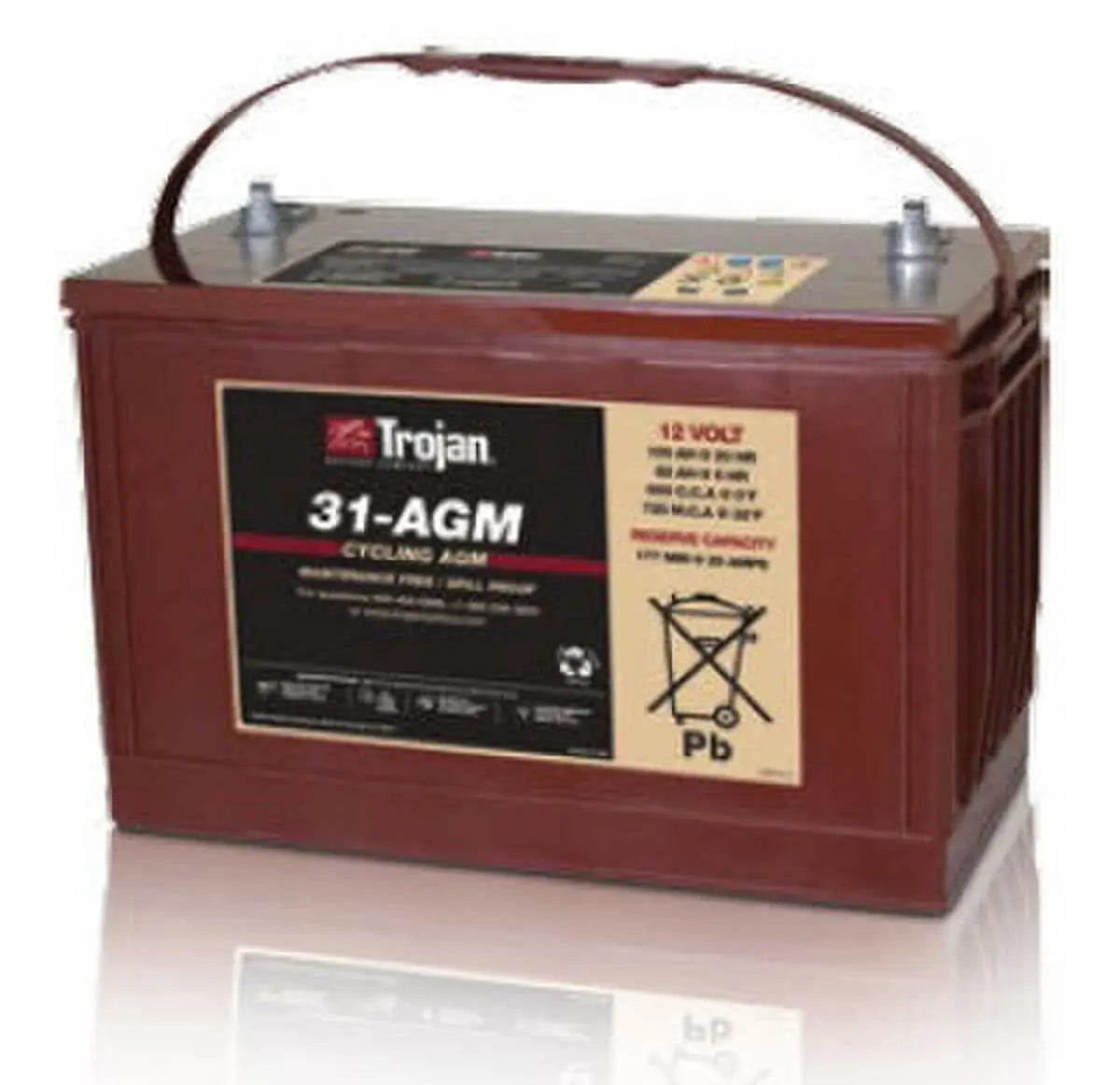 Trojan Battery 12 V 100 Ah Lead Acid Battery Trojan