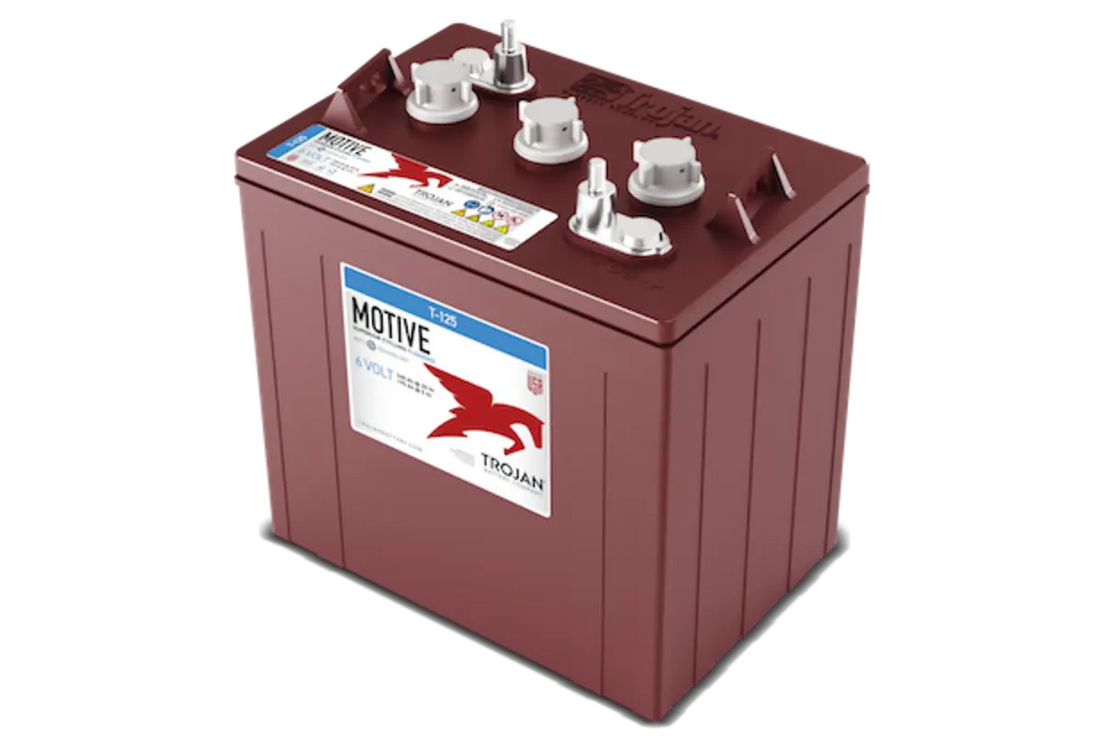 Trojan Battery 6 V 240 Ah Deep-Cycle Flooded Lead Acid Battery with Bayonet Cap Trojan