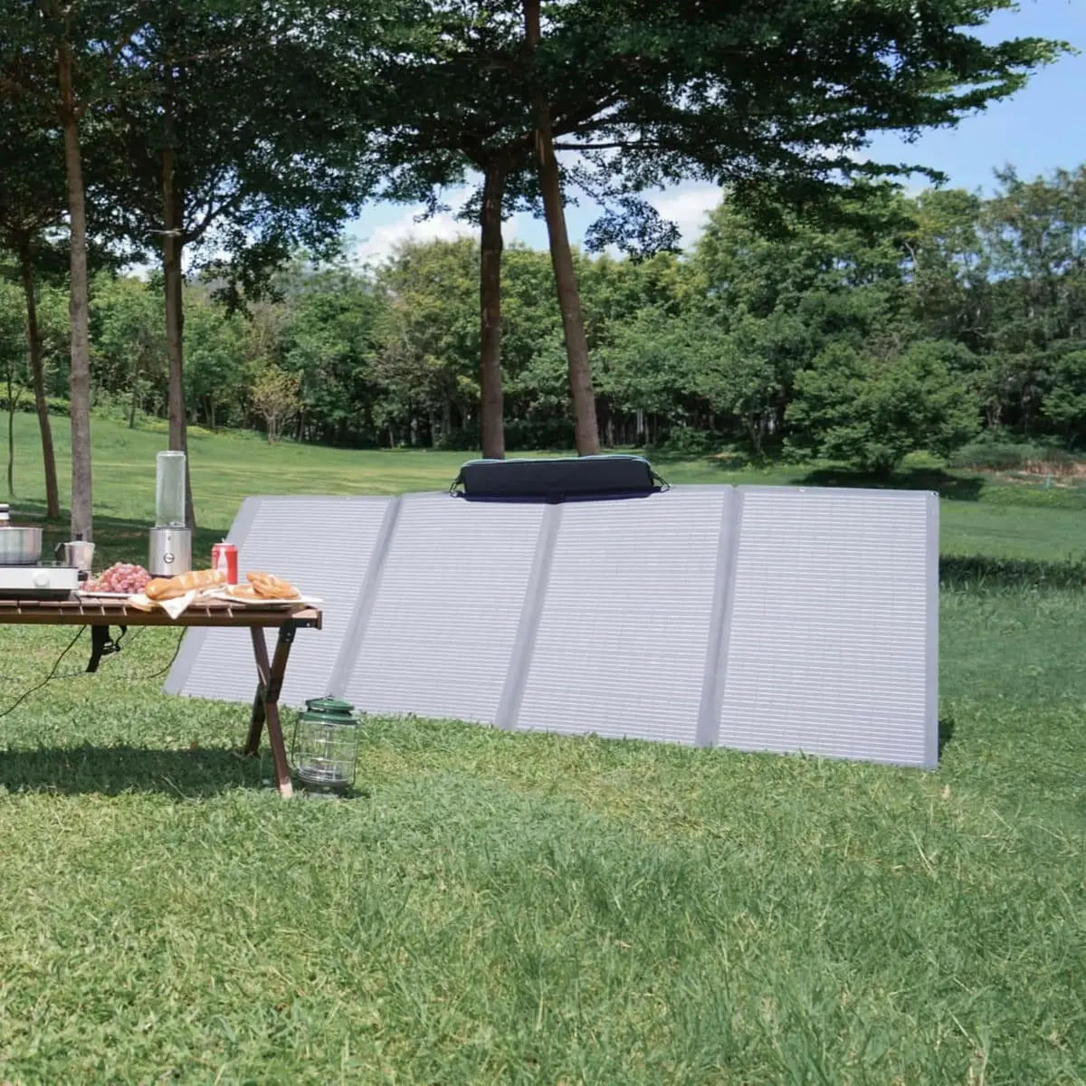 EcoFlow 400W Portable Solar Panel.