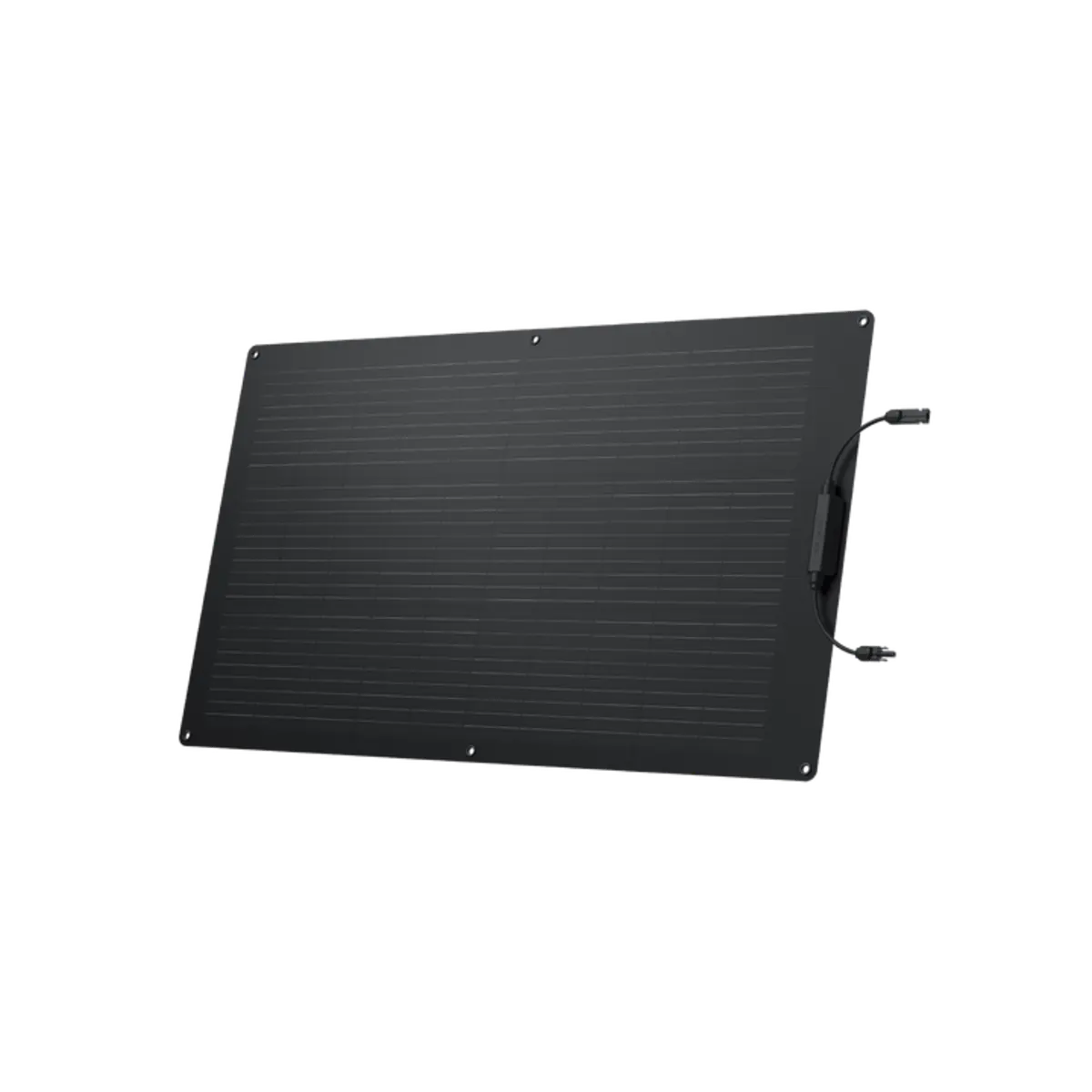 EcoFlow 100W Flexible Solar Panel.