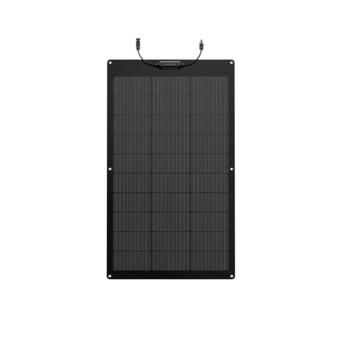 EcoFlow 100W Flexible Solar Panel.