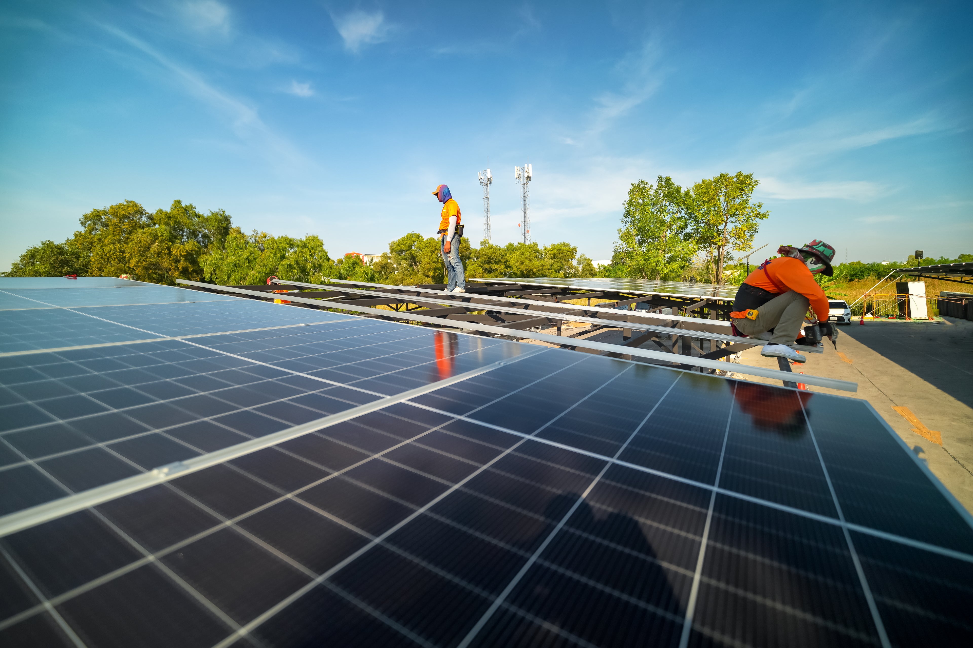 collection-banner-image